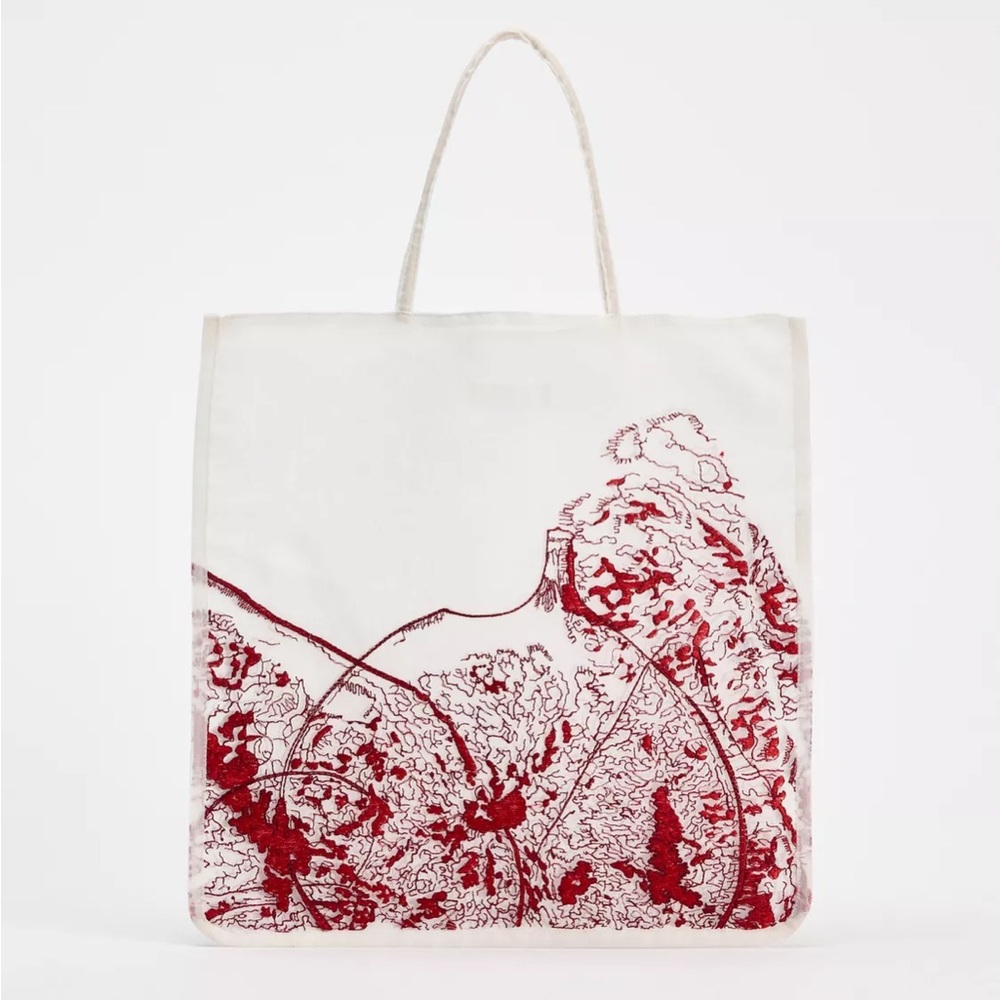 Zara EMBROIDERED FABRIC BAG